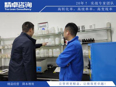 深度解析质量管理5大要素提升品质的关键策略