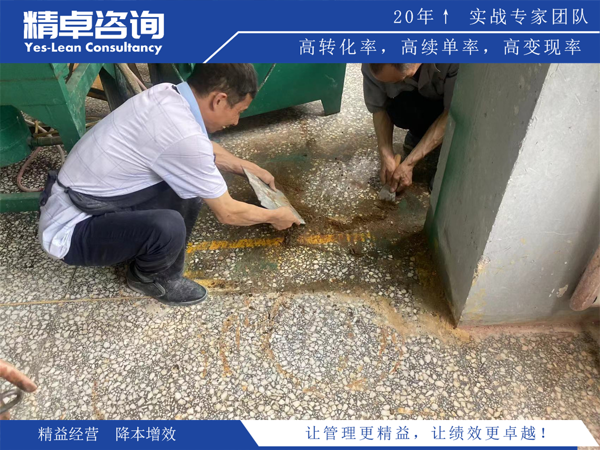 5S咨询在提升企业整体管理水平中的作用